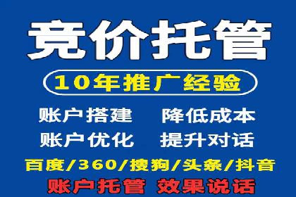 某电商企业如何通过百度竞价广告提升销售额